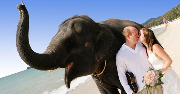 Secular Weddings in Thailand